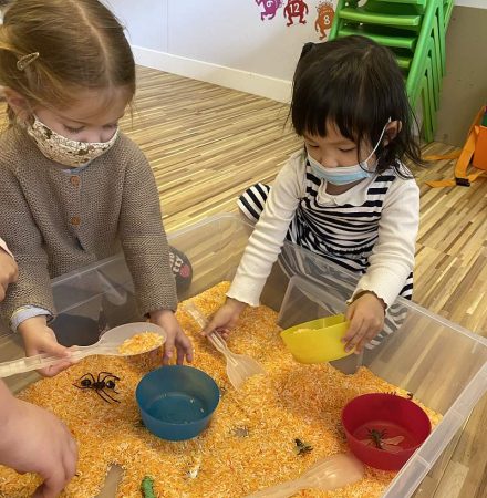 Appendix 6 - Playgroup Sensory